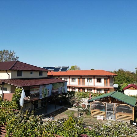Апартаменты Casa Calin Вама-Веке Экстерьер фото